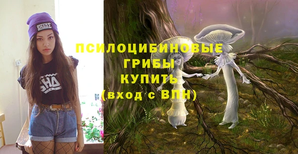 PSILOCYBIN Алзамай