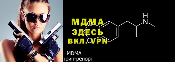PSILOCYBIN Алзамай