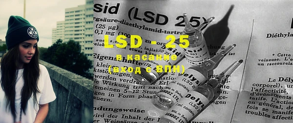 PSILOCYBIN Алзамай