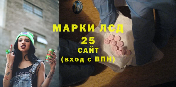 PSILOCYBIN Алзамай