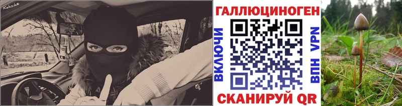 Галлюциногенные грибы прущие грибы  Анива 